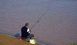 娱乐吃瓜钓鱼视频大全最新,娱乐吃瓜钓鱼视频大盘点，笑料百出，精彩纷呈！