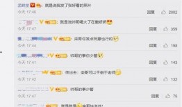 娱乐吃瓜君评论区临沂,娱乐吃瓜君的瓜田盛宴