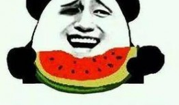 娱乐吃瓜酱你养过什么小众的,揭秘我那些不为人知的小众宠物