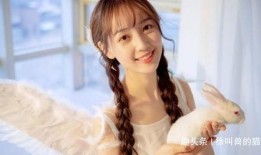 娱乐吃瓜酱网文女主是谁,揭秘网文女主的神秘身份