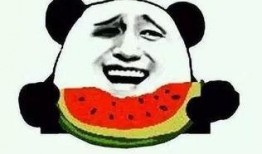 娱乐吃瓜群众1,揭秘娱乐圈背后的那些事儿