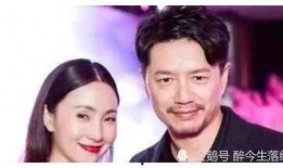 娱乐圈明星在线吃瓜小说,明星们的“瓜田”盛宴