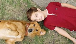 娱乐吃瓜君小狗,揭秘娱乐圈那些不为人知的幕后故事