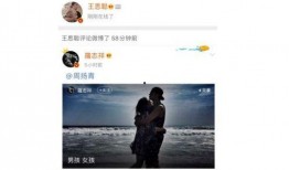 评论娱乐吃瓜怎么说,揭秘明星幕后故事