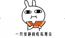 娱乐吃瓜名字怎么取的啊,揭秘“娱乐吃瓜”名字背后的趣味与智慧