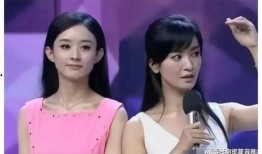 娱乐圈吃瓜爆料大s,揭秘明星背后的真相与争议