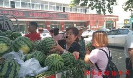 千佛山娱乐团队吃瓜群众