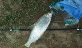 娱乐吃瓜钓鱼视频大全最新,娱乐吃瓜钓鱼视频大盘点，笑料百出，精彩纷呈！