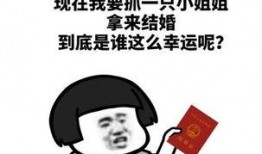 请叫我娱乐吃瓜,揭秘明星幕后故事，请叫我娱乐吃瓜