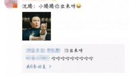 娱乐吃瓜君评论区临沂,娱乐吃瓜君的瓜田盛宴