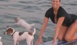 娱乐吃瓜君小狗,揭秘娱乐圈那些不为人知的幕后故事