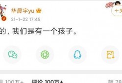 吃瓜娱乐圈文字版小说,瓜田里的秘密风云