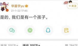 吃瓜娱乐圈文字版小说,瓜田里的秘密风云