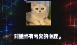 八卦吃瓜娱乐圈主播