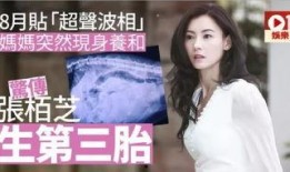 娱乐吃瓜酱一孕傻三年,揭秘“一孕傻三年”的科学真相