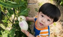 小布布娱乐吃瓜,揭秘娱乐圈幕后故事