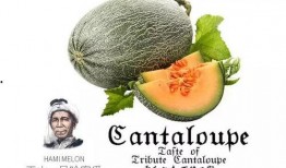 娱乐吃瓜号背景