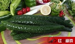 吃瓜娱乐 小黄瓜,吃瓜娱乐界的清新代表