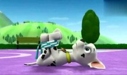 娱乐吃瓜君汪汪,揭秘娱乐圈那些不为人知的幕后故事