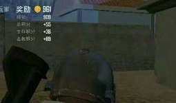 娱乐大瓜在线吃鸡游戏,在线吃鸡游戏，畅享欢乐竞技盛宴