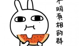 娱乐吃瓜君恶意造谣别人,真相揭秘！