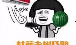 娱乐吃瓜群众1,揭秘娱乐圈背后的那些事儿