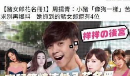 娱乐圈吃瓜博主双人小说,吃瓜博主的双人甜蜜冒险