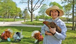 吃瓜娱乐酱顶流社,揭秘顶流社背后的明星圈层