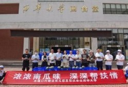 娱乐吃瓜酱西华师范大学