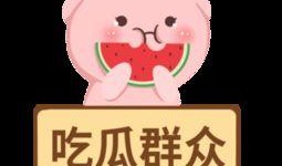 娱乐吃瓜群众模板,揭秘明星背后的故事，带你领略明星们的真实生活