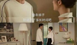 吃瓜娱乐圈模范夫妻小说,娱乐圈模范夫妻的甜蜜日常