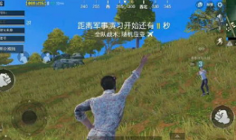 娱乐大瓜在线吃鸡游戏,在线吃鸡游戏，畅享欢乐竞技盛宴