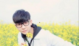 娱乐吃瓜酱胡夏,娱乐吃瓜酱的甜蜜旋律之旅