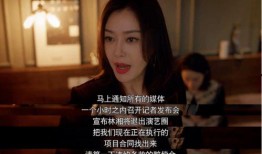 娱乐圈吃瓜合集视频网站,吃瓜合集视频网站深度解析