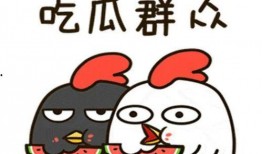 每天娱乐吃瓜,娱乐圈新鲜事速递