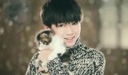 吃瓜娱乐王俊凯张翰,吃瓜娱乐界新篇章