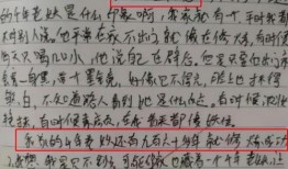 娱乐吃瓜酱嘘轻点作文