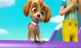 娱乐吃瓜君汪汪,揭秘娱乐圈那些不为人知的幕后故事