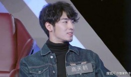 娱乐吃瓜蜀黍汪峰小说,揭秘娱乐圈背后的风云变幻